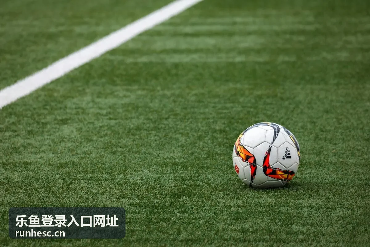 乐鱼登录入口网址在电脑与手机上的入口页面示意